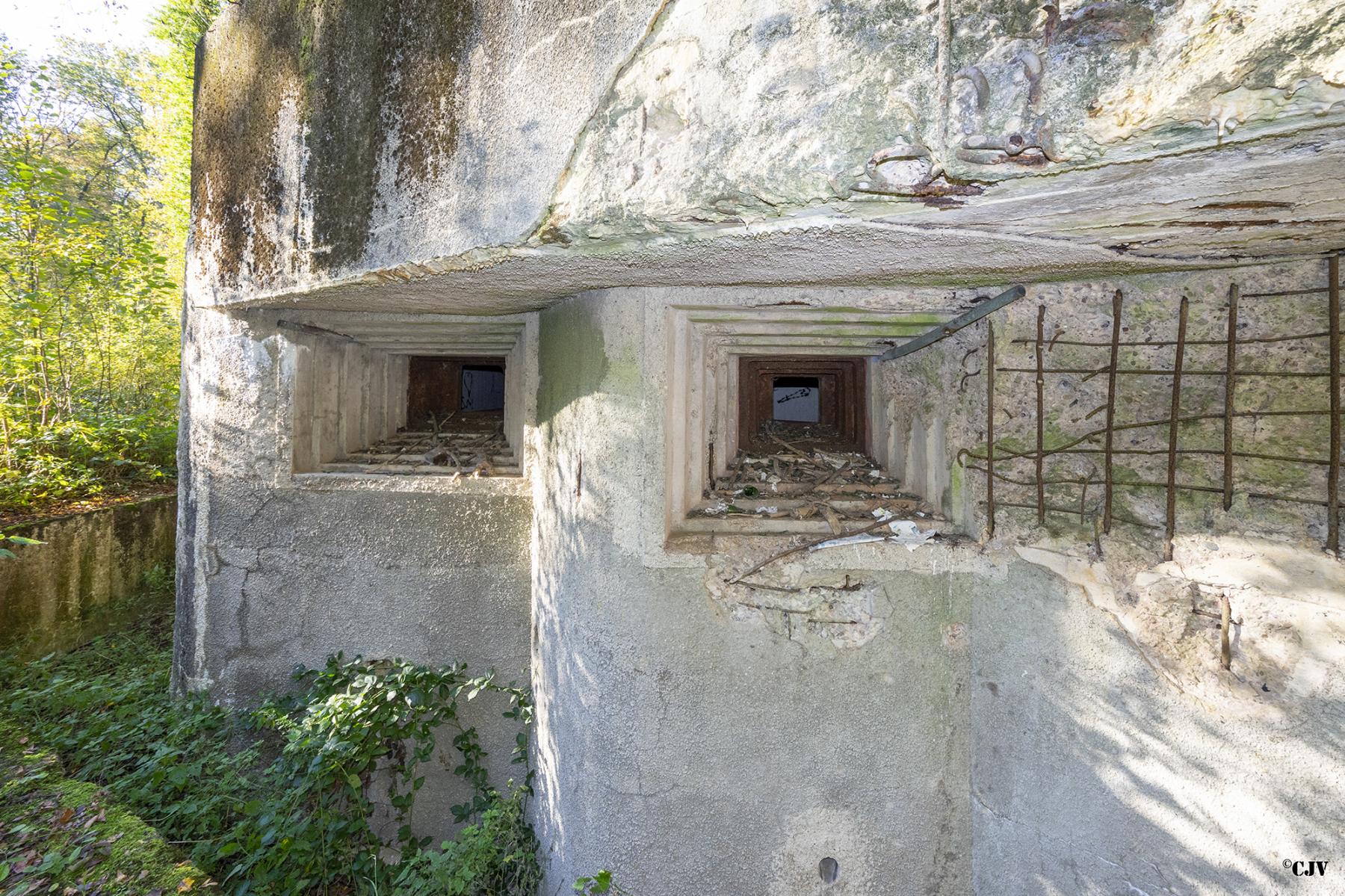 Ligne Maginot - C24 - VIVIER NUTHIAU EST - (Casemate d'infanterie) - Les créneaux