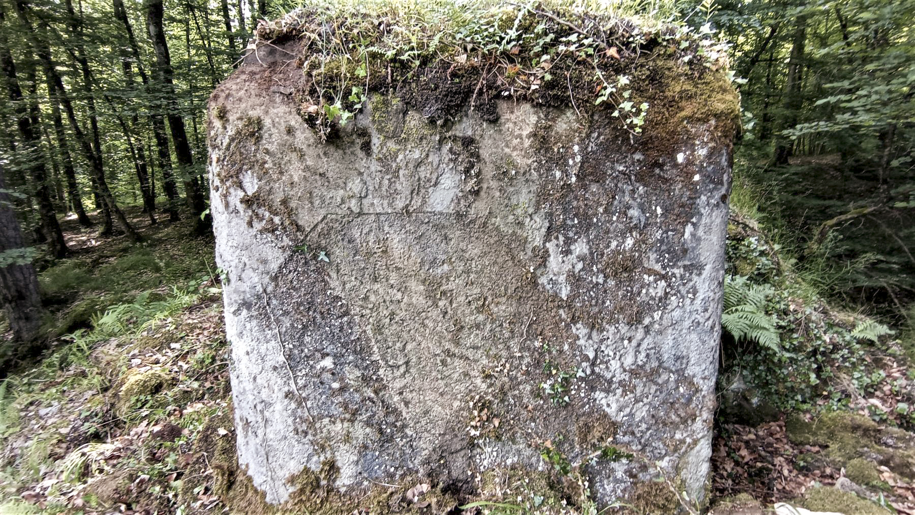 Ligne Maginot - FM15 - VERLORENERBACH 1 - (Blockhaus pour arme infanterie) - Mur latéral gauche
Démarcation du crépis après rocaillage