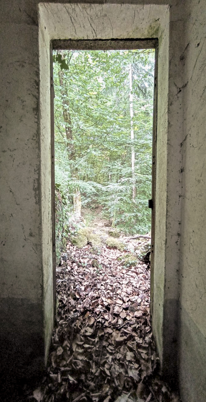 Ligne Maginot - FM15 - VERLORENERBACH 1 - (Blockhaus pour arme infanterie) - L'entrée