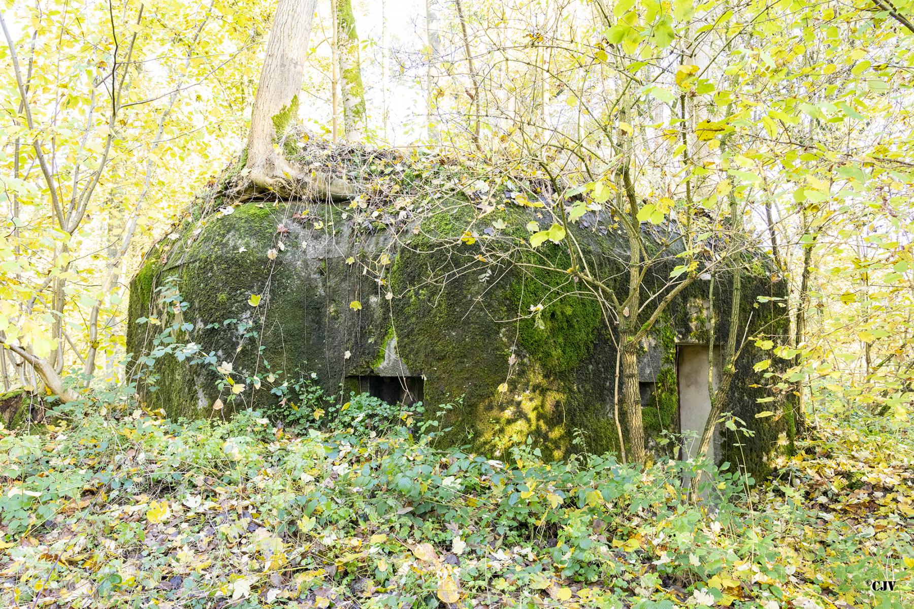 Ligne Maginot - B593 - BOIS DES LANIERES 5 - (Blockhaus pour canon) - 