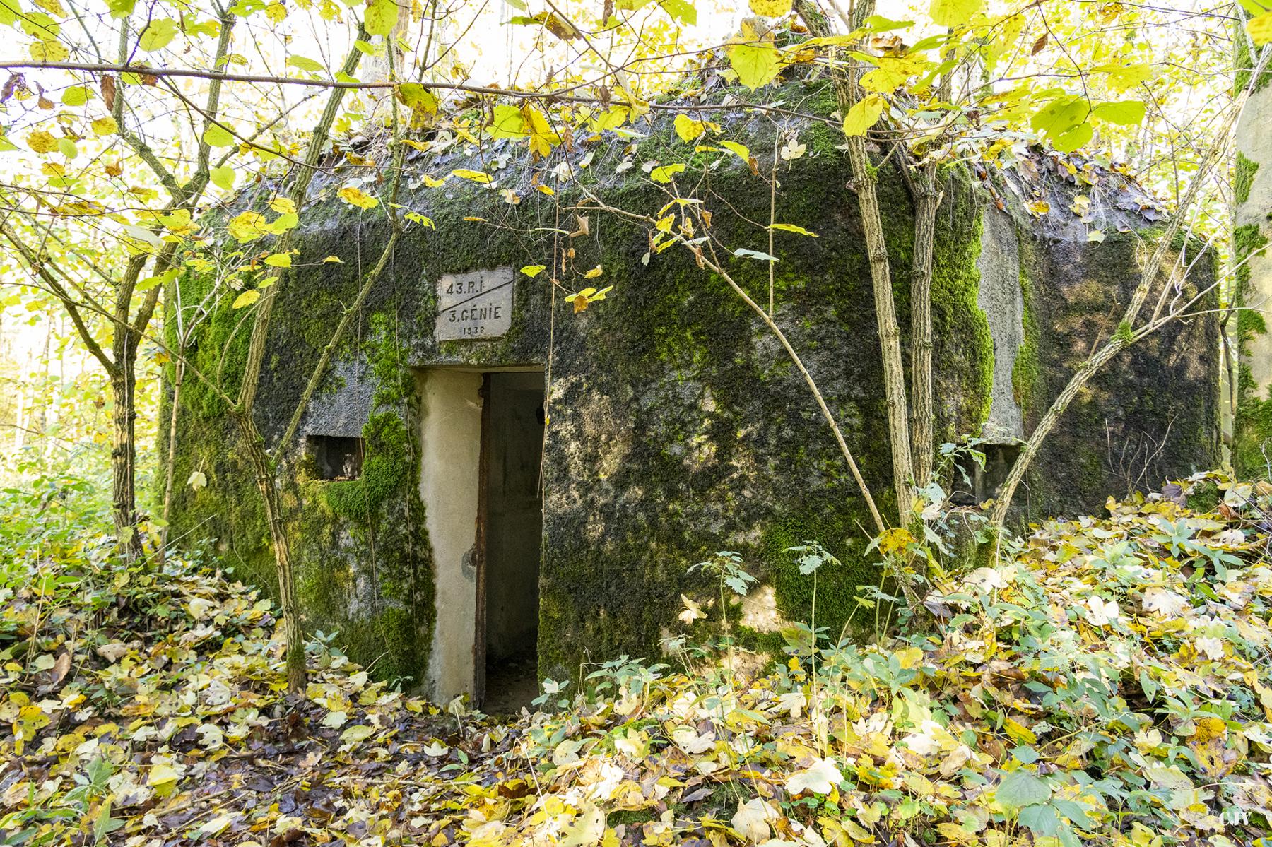 Ligne Maginot - B593 - BOIS DES LANIERES 5 - (Blockhaus pour canon) - 