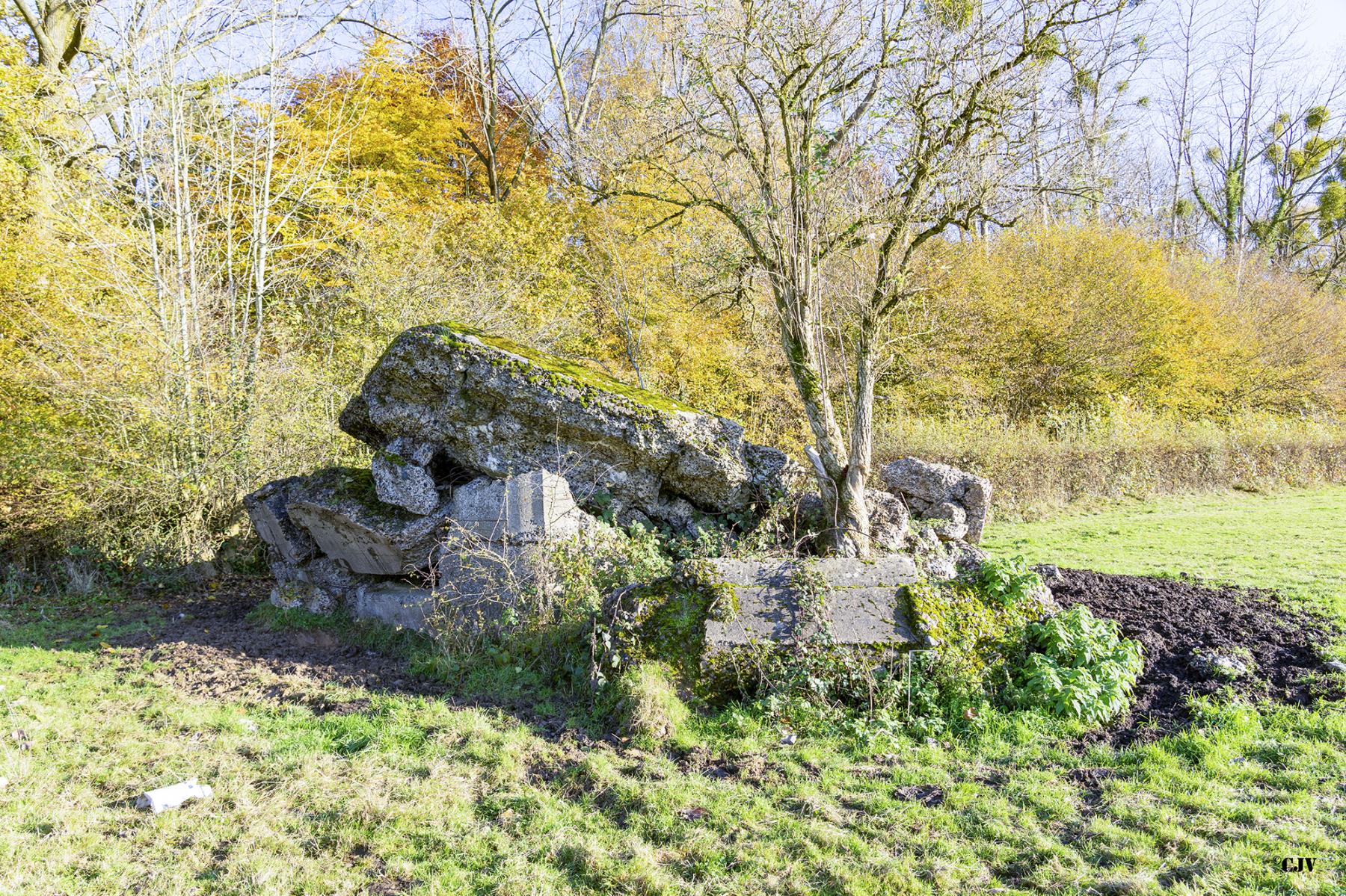 Ligne Maginot - B598 - CORON D'AMOUR - (Blockhaus pour canon) - 