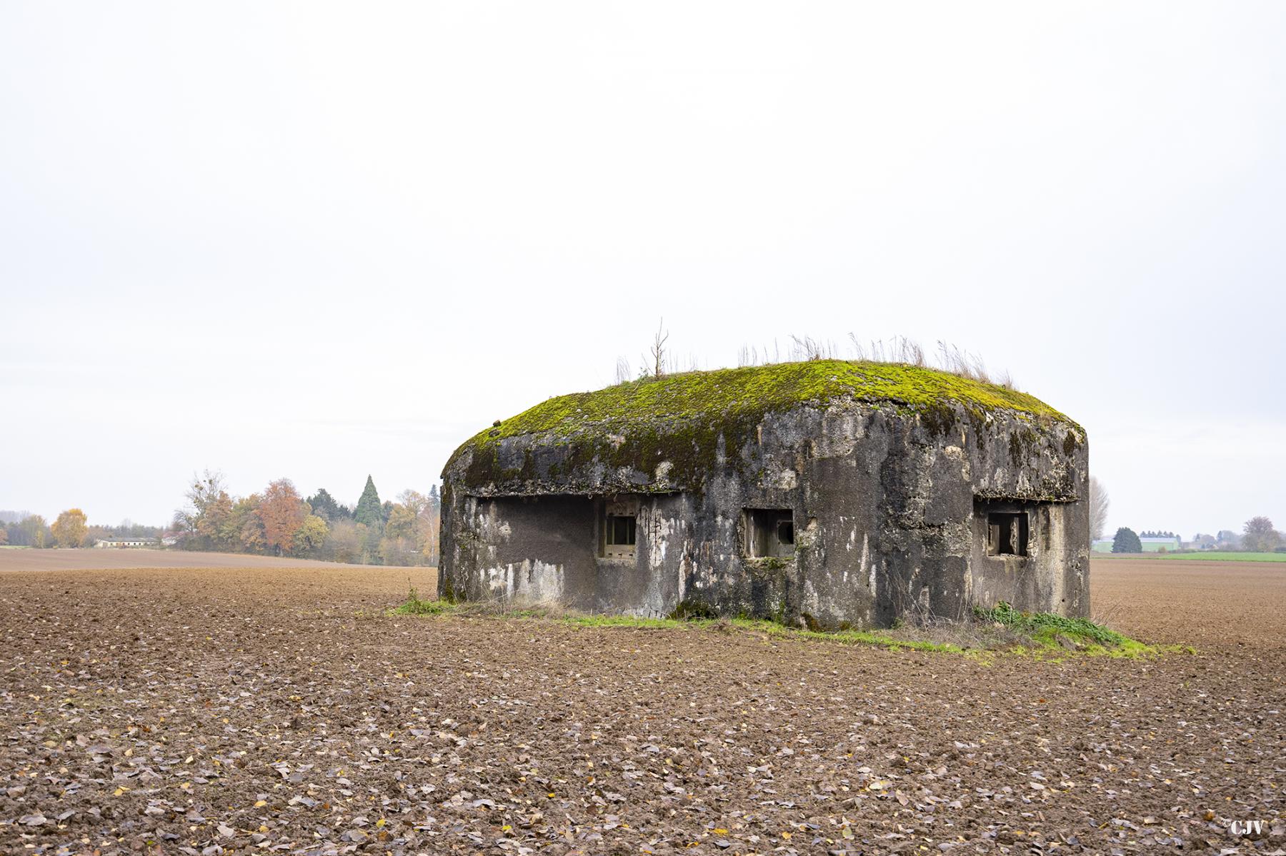 Ligne Maginot - B600 - BOIS DES ECOLIERS EST - (Blockhaus pour canon) - 