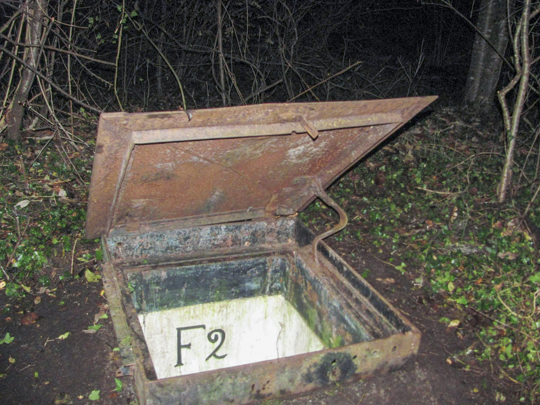 Ligne Maginot - F2 - (Chambre de coupure - Avec central) - L'entrée du puits