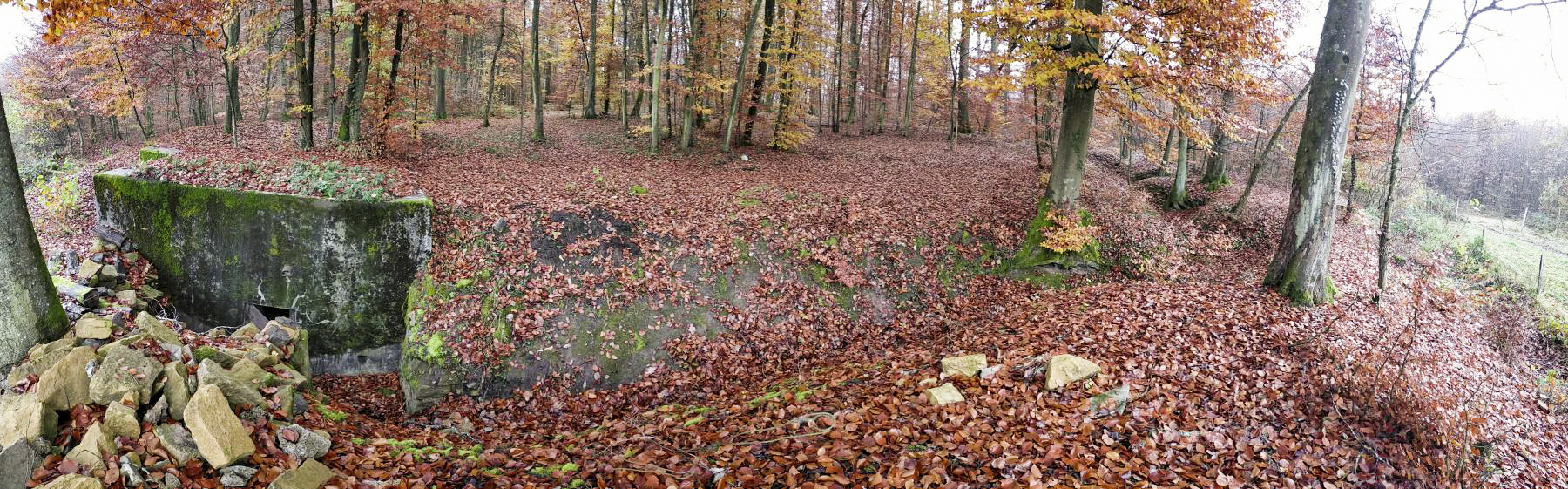 Ligne Maginot - HUBERBUSCH 1 - (Blockhaus pour arme infanterie) - L'arrière du blockhaus et sa tranchée d'accès.