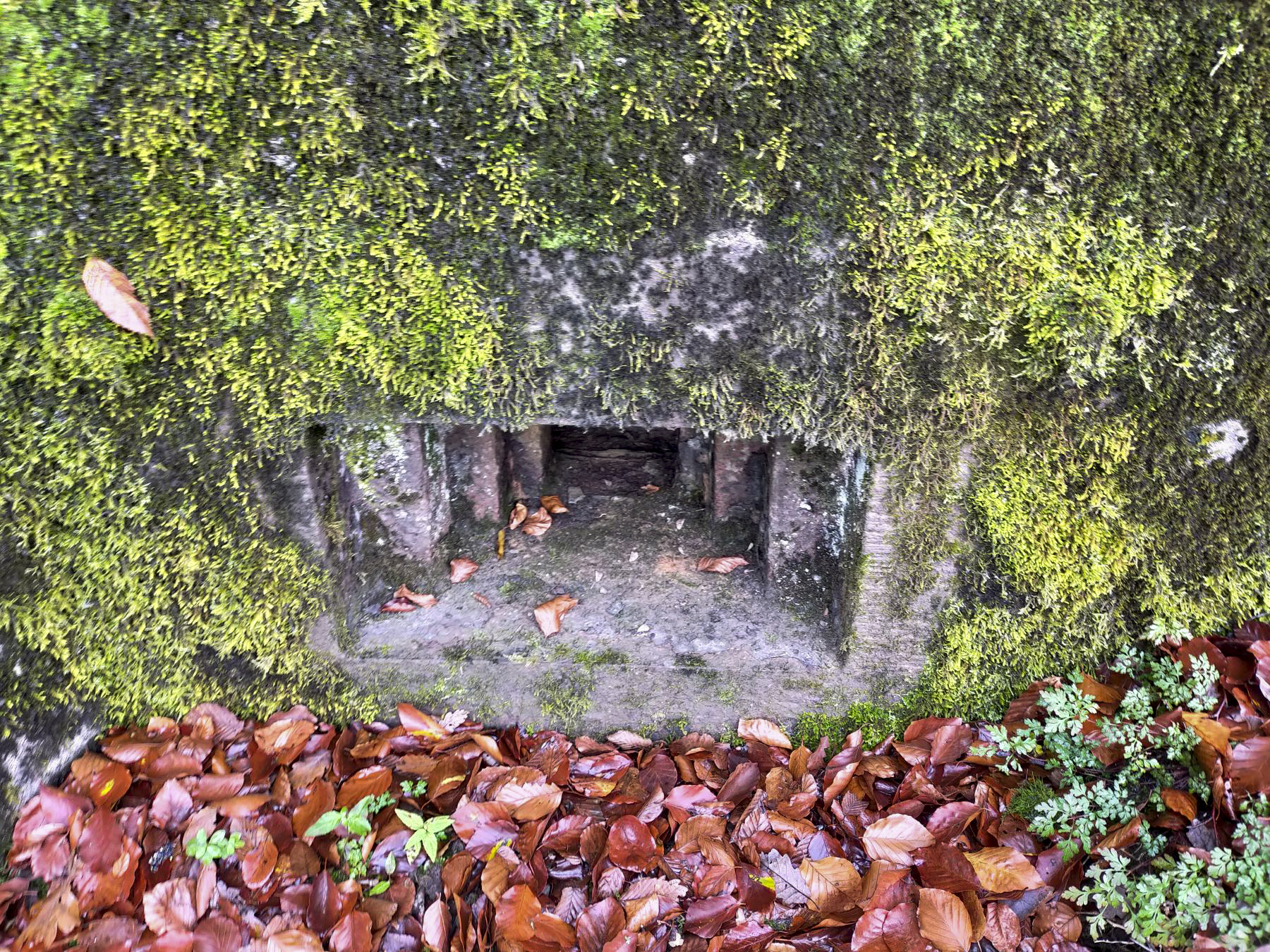 Ligne Maginot - HUBERBUSCH 1 - (Blockhaus pour arme infanterie) - Extérieur de la trémie Condé.