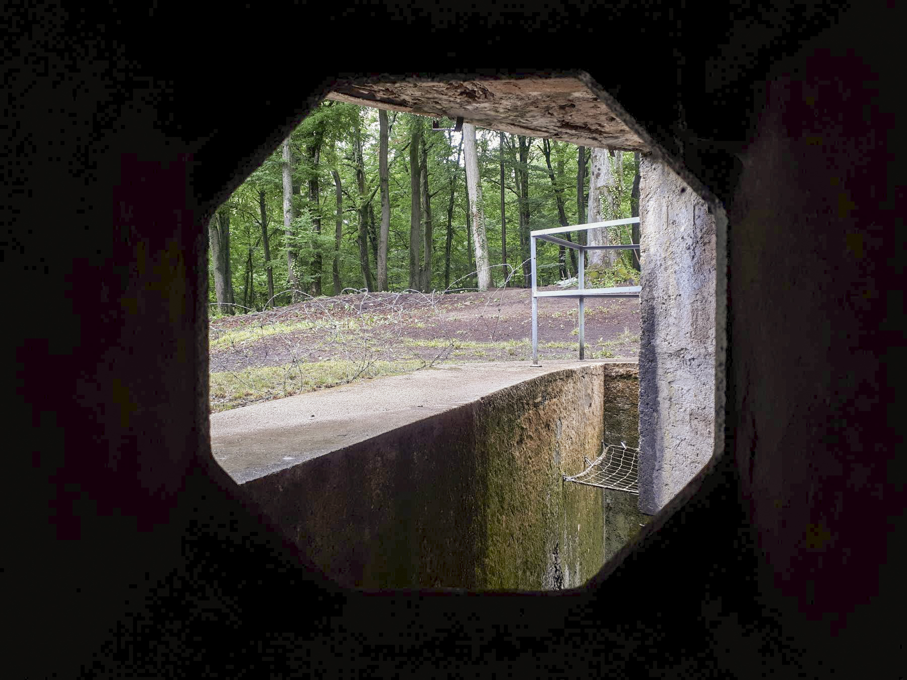 Ligne Maginot - HUBERBUSCH SUD - C59 - (Casemate d'infanterie) - Vue depuis le créneau FM de façade