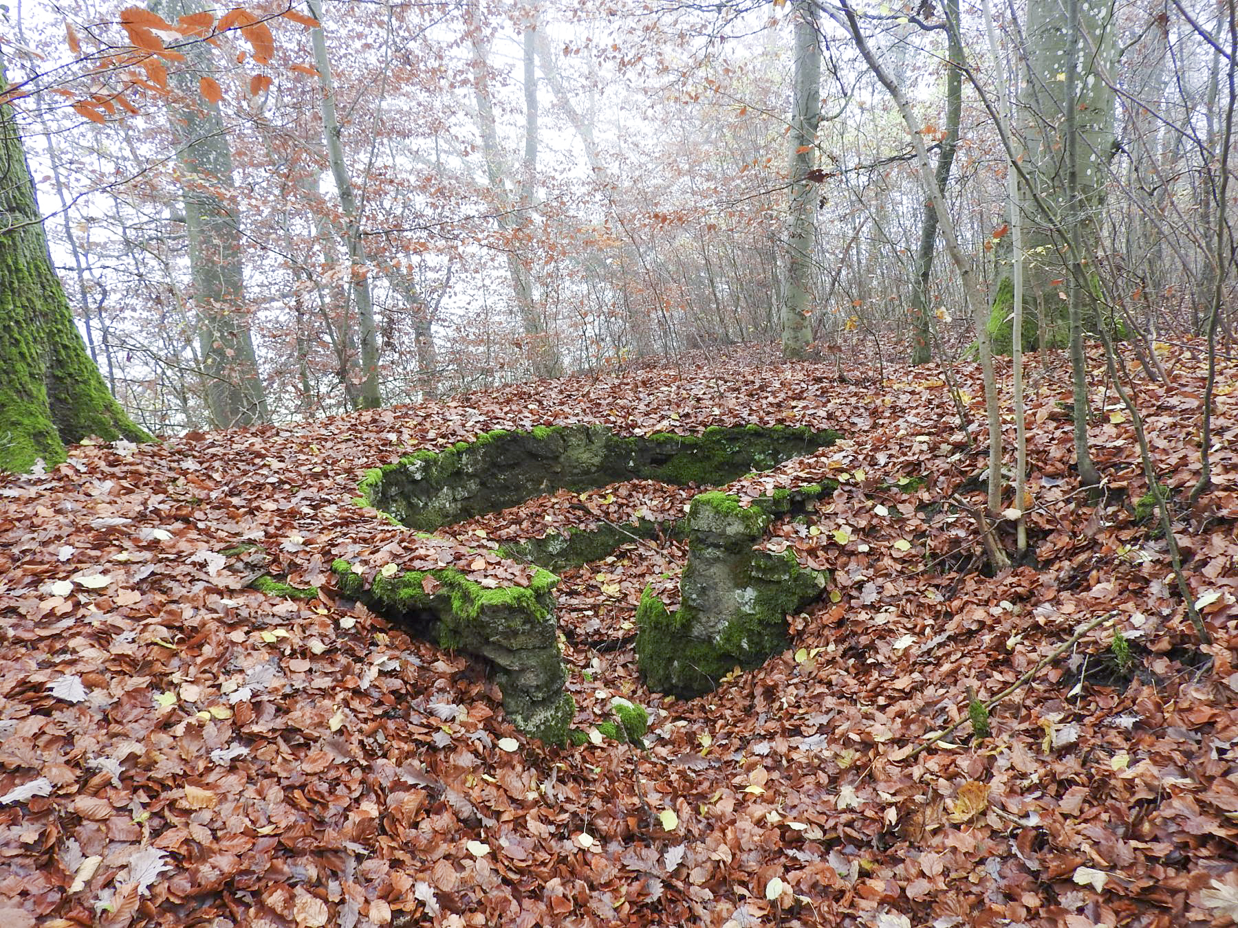 Ligne Maginot - MEISTERBUSCH 7 - (Cuve pour arme d'infanterie) - La plate-forme pour mitrailleuse.