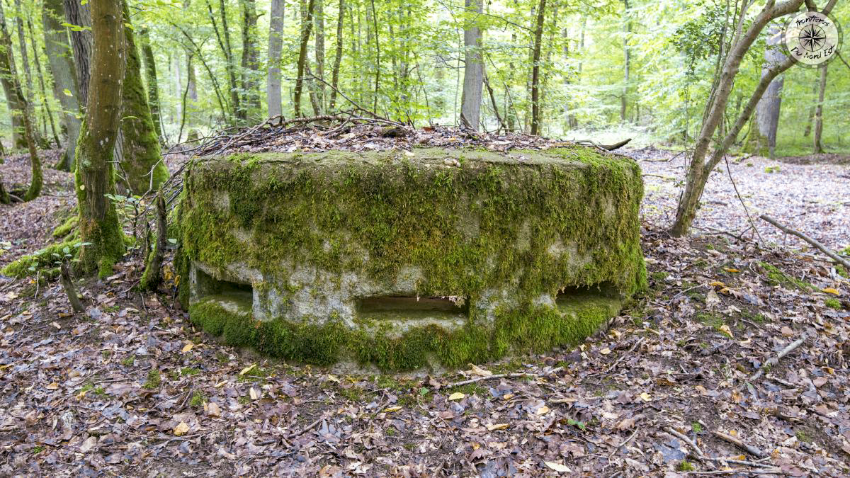 Ligne Maginot - CB443-A - BOIS KARRE 6 - (Observatoire d'infanterie) - L'observatoire vu de face