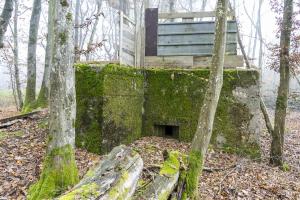 Ligne Maginot - CB219 - MEIEREI 2 - (Blockhaus pour arme infanterie) - 