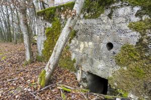 Ligne Maginot - CB219 - MEIEREI 2 - (Blockhaus pour arme infanterie) - L'entrée