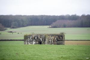 Ligne Maginot - A94 - WATISSART - (Blockhaus pour canon) - Les deux fentes d'observation sont distinguables sur la partie droite (orillon) du blockhaus.