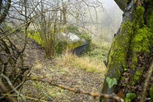 Ligne Maginot - A100 - BOIS DES NIELLES - (Blockhaus pour canon) - 