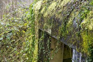 Ligne Maginot - A100 - BOIS DES NIELLES - (Blockhaus pour canon) - 