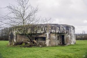 Ligne Maginot - A106 - GOBINETTE - (Blockhaus pour canon) - Les créneaux et l'entrée du personnel