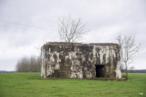 Ligne Maginot - A106 - GOBINETTE - (Blockhaus pour canon) - L'entrée du materiel