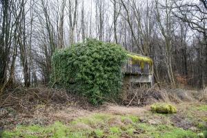 Ligne Maginot - A107 - BELLEUX - (Blockhaus pour canon) - Les créneaux sont a peu près invisible