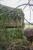 Ligne Maginot - A107 - BELLEUX - (Blockhaus pour canon) - Créneau d'observation