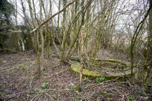 Ligne Maginot - BOIS D'ELESMES CENTRE - (Cuve pour arme d'infanterie) - 