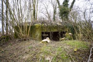 Ligne Maginot - B636 - BOIS D'ELESMES - (Blockhaus pour canon) - L'entrée