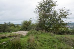 Ligne Maginot - HAUT D'HARAUCHAMPS - (Observatoire d'infanterie) - 