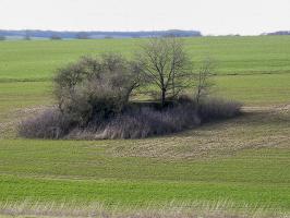 Ligne Maginot - DB220 - (Blockhaus pour canon) - 