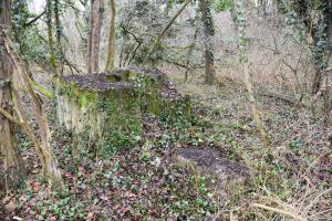 Ligne Maginot - CHALAMPE SUD 3 - (Blockhaus de type indéterminé) - Reste des latrines ou soutes à charbons