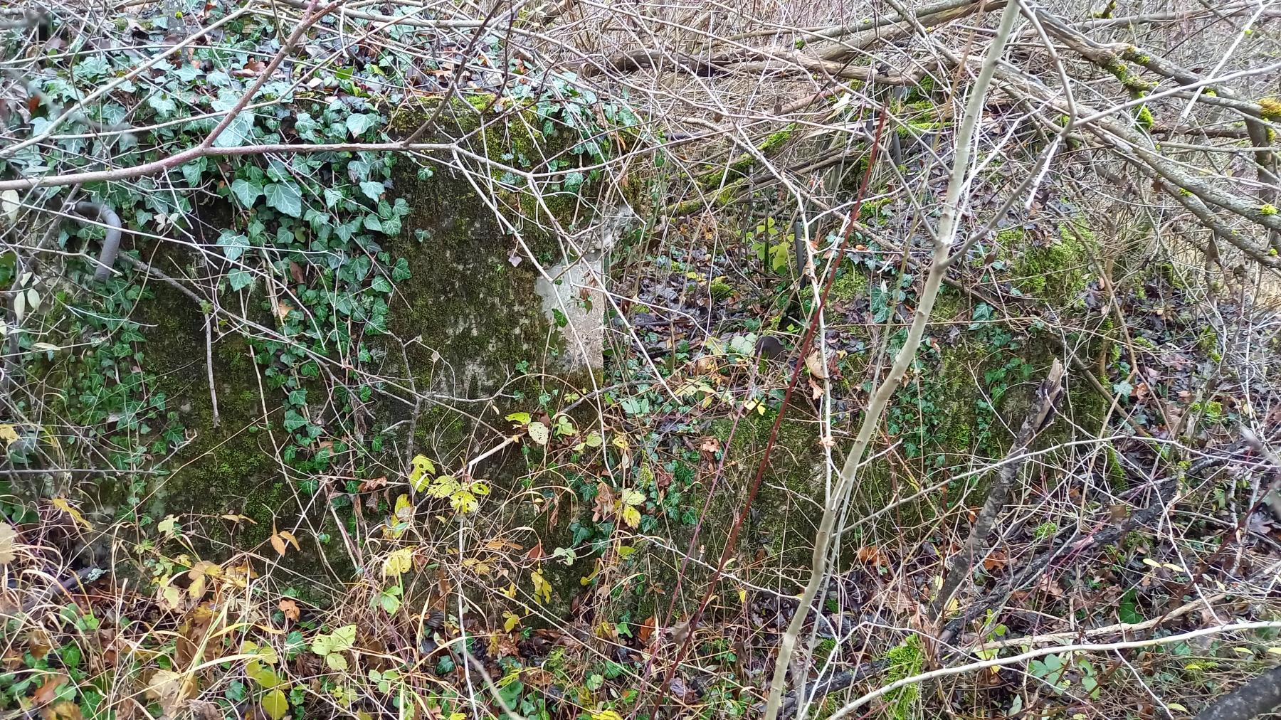 Ligne Maginot - NAMBSHEIM EST 2 - (Blockhaus de type indéterminé) - 