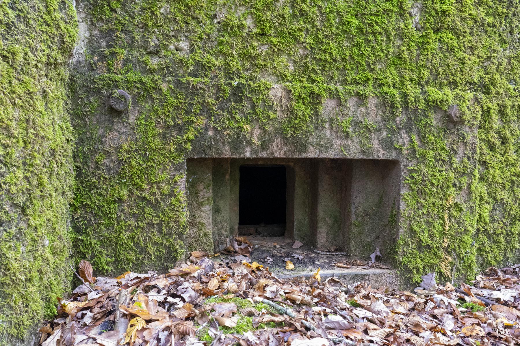 Ligne Maginot - CB219 - MEIEREI 2 - (Blockhaus pour arme infanterie) - Le créneau