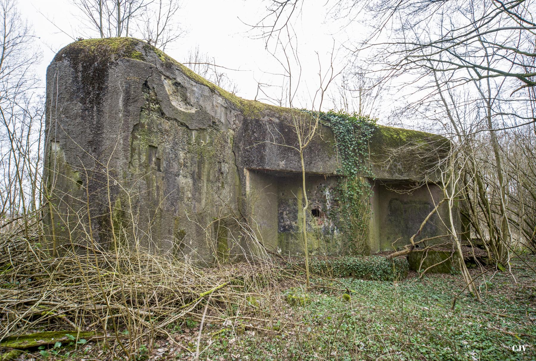 Ligne Maginot - ELESMES - (Blockhaus lourd type STG / STG-FCR - Double) - 