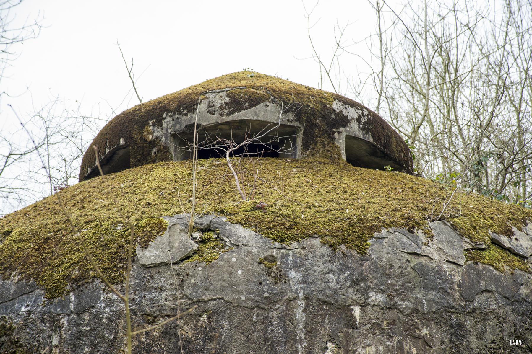 Ligne Maginot - ELESMES - (Blockhaus lourd type STG / STG-FCR - Double) - 