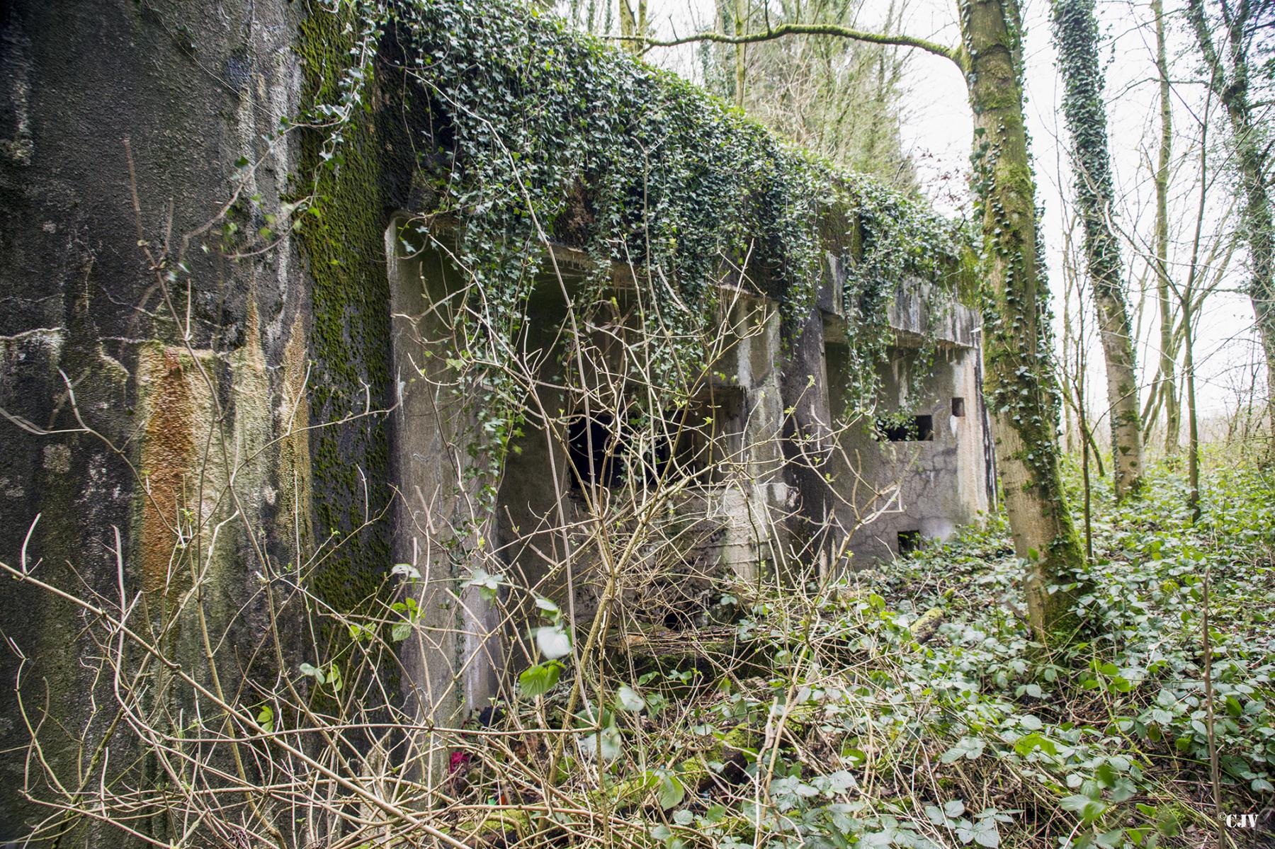 Ligne Maginot - A96 - LE MESNIL NORD - (Casemate d'infanterie) - Les créneaux