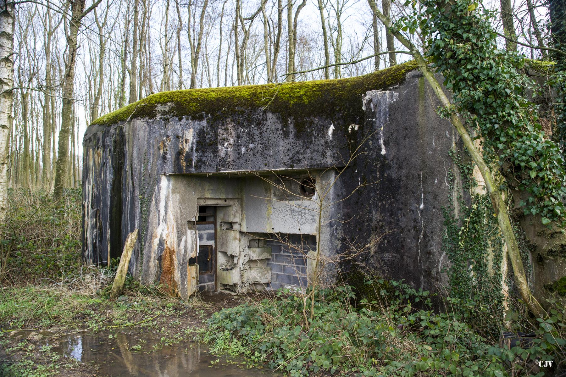 Ligne Maginot - A97 - LE MESNIL SUD - (Casemate d'infanterie) - 