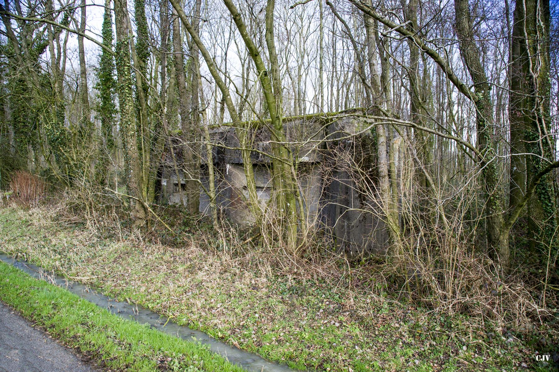 Ligne Maginot - A97 - LE MESNIL SUD - (Casemate d'infanterie) - 