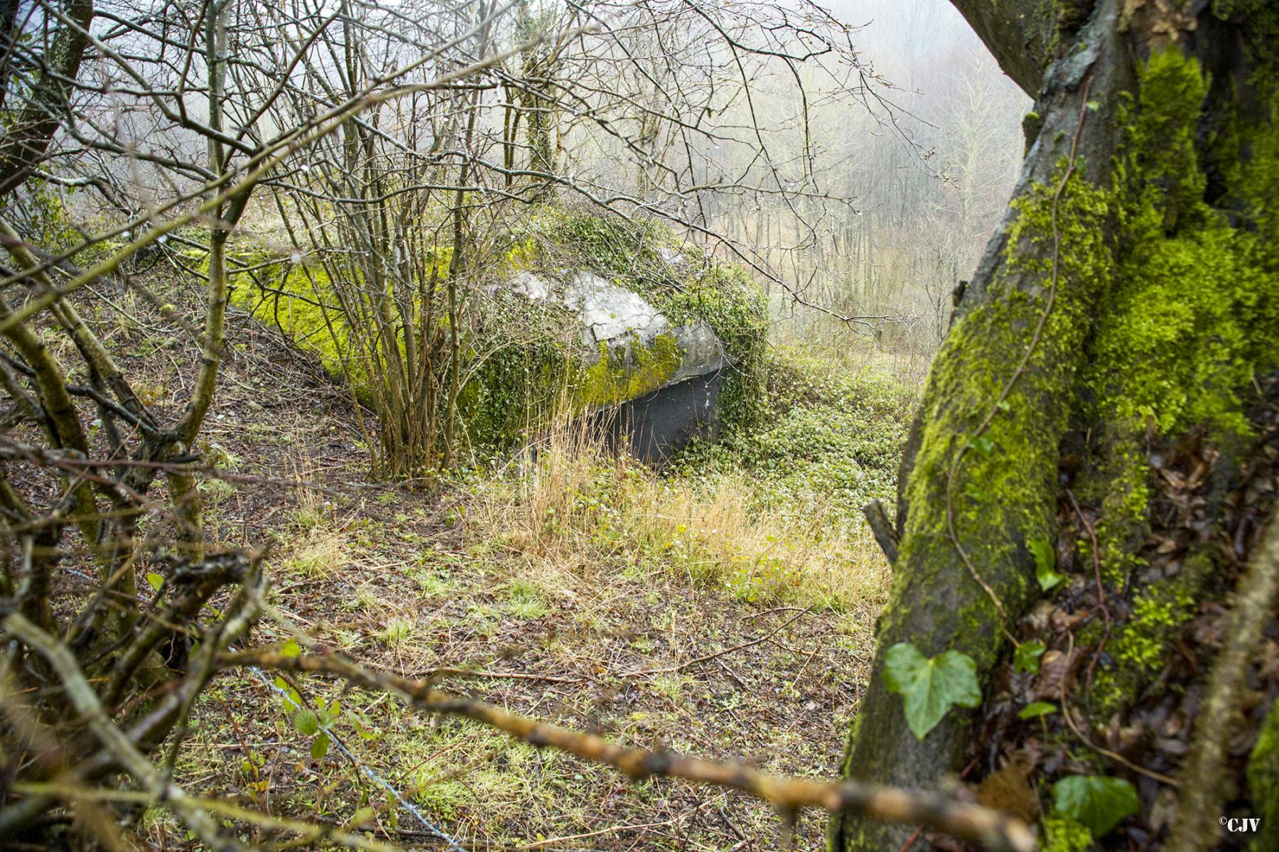 Ligne Maginot - A100 - BOIS DES NIELLES - (Blockhaus pour canon) - 