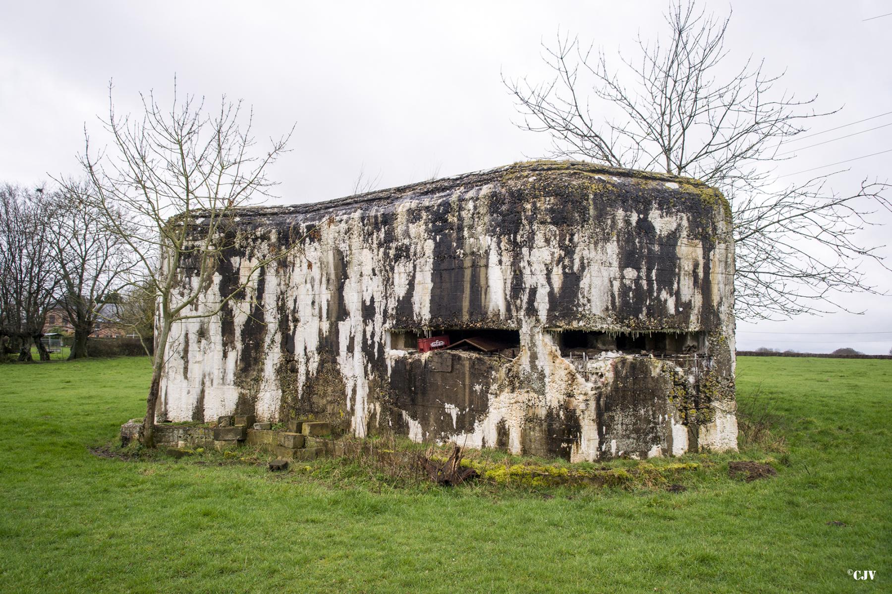 Ligne Maginot - A106 - GOBINETTE - (Blockhaus pour canon) - Les créneaux d'observation