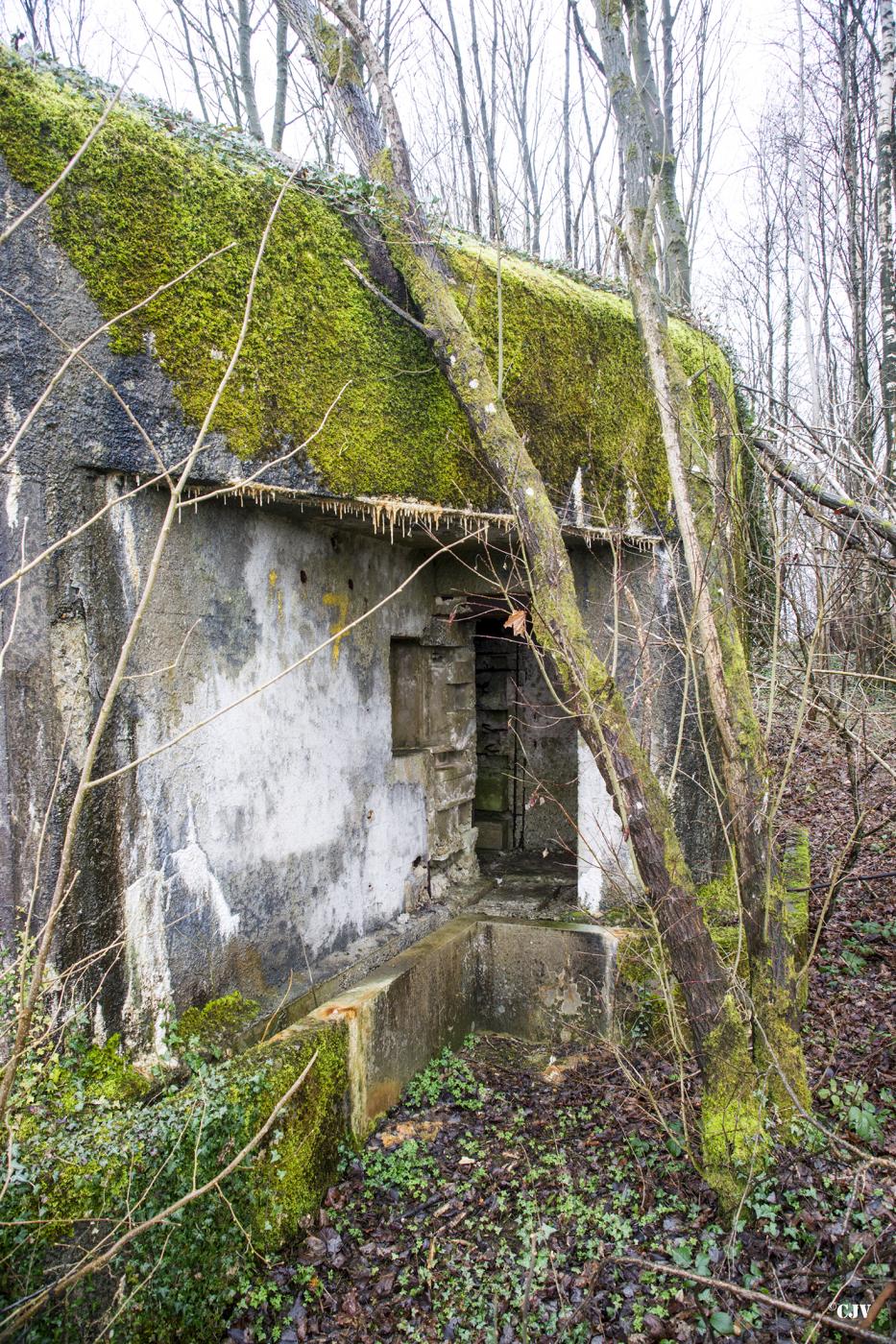 Ligne Maginot - A107 - BELLEUX - (Blockhaus pour canon) - L'entrée du personnel