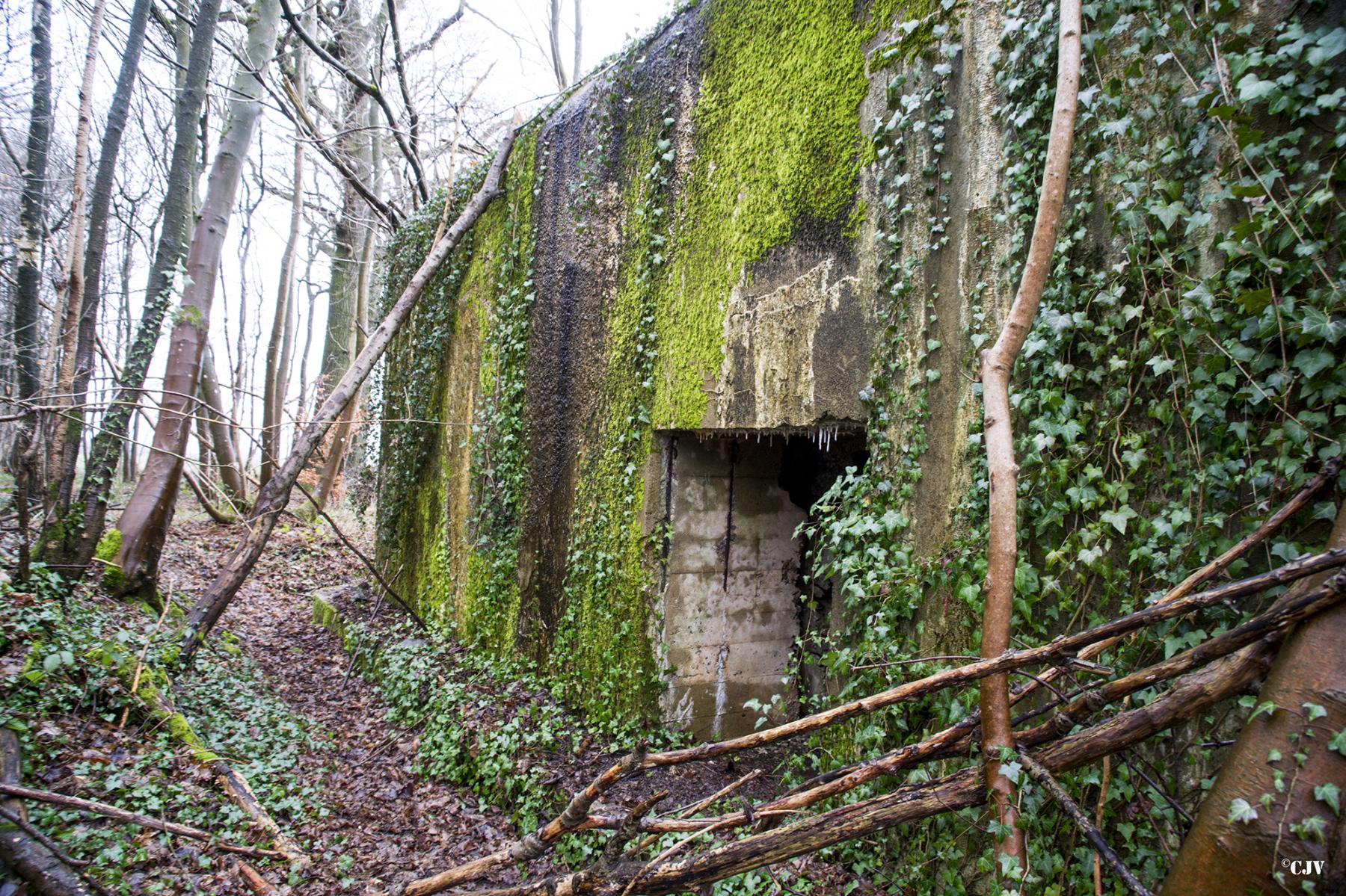 Ligne Maginot - A107 - BELLEUX - (Blockhaus pour canon) - L'entrée du materiel