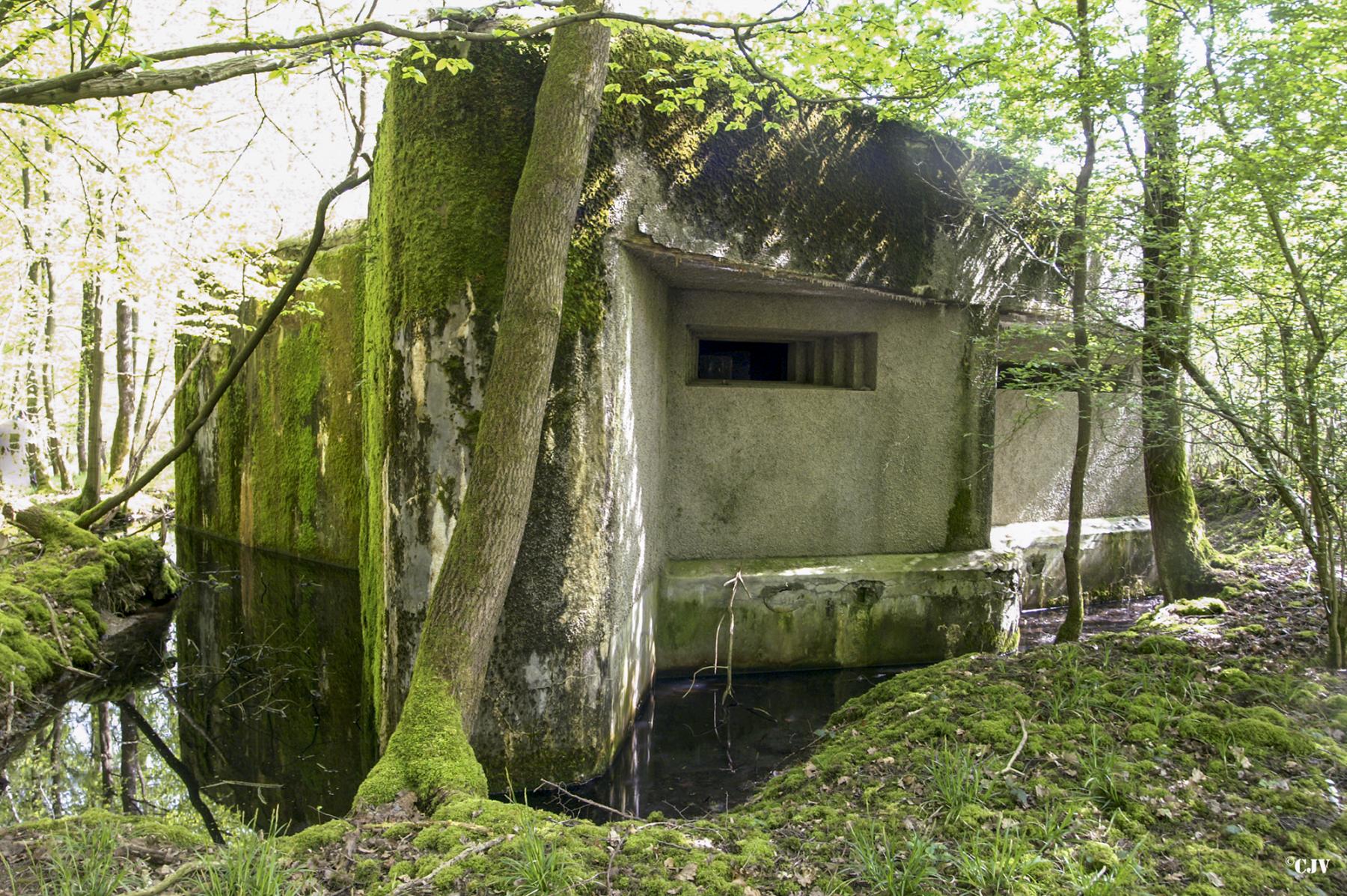 Ligne Maginot - A109 - ROUTE D'EPPE-SAUVAGE - (Casemate d'infanterie - double) - 