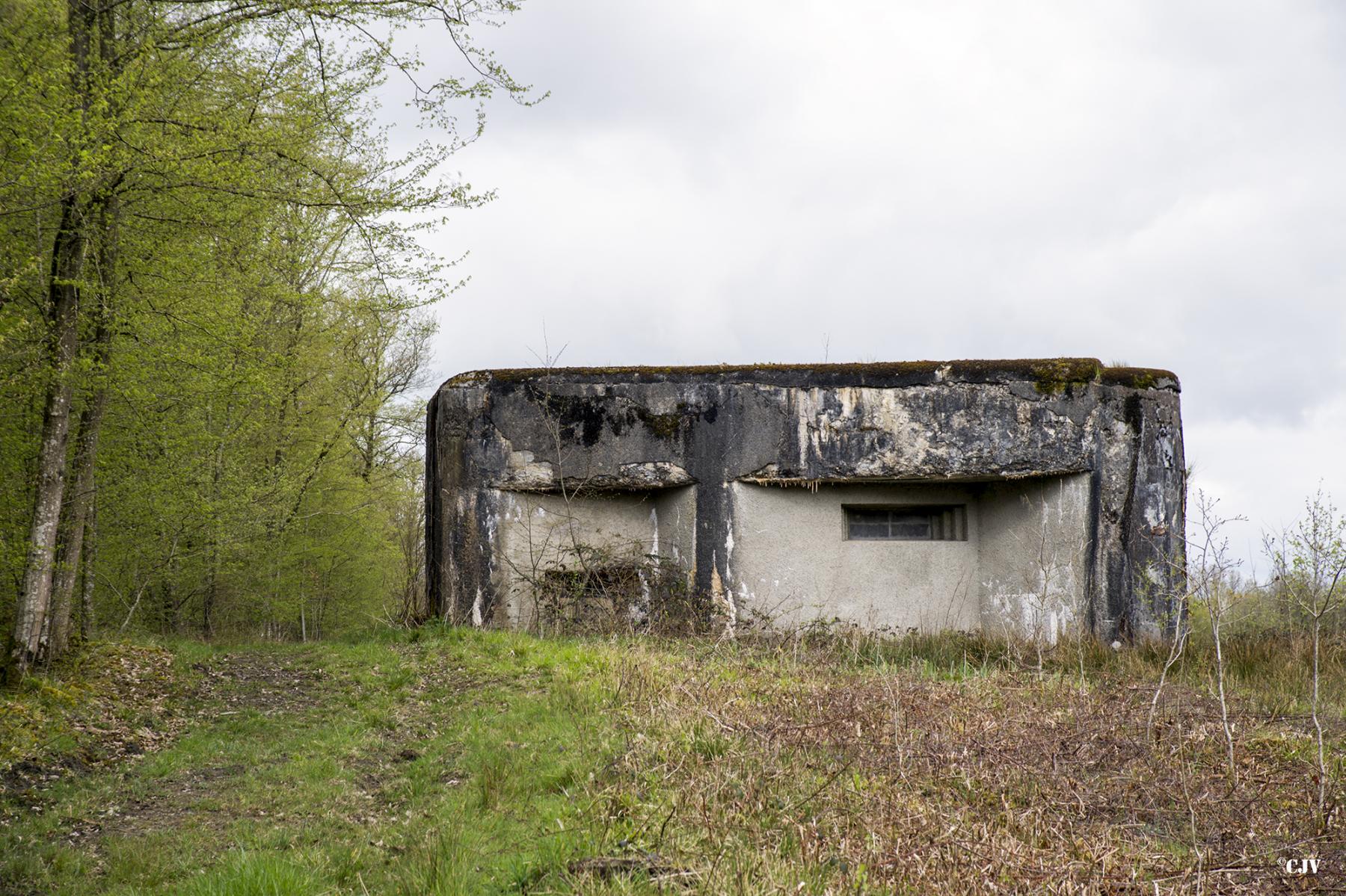 Ligne Maginot - A109 - ROUTE D'EPPE-SAUVAGE - (Casemate d'infanterie - double) - Vu du sud-est