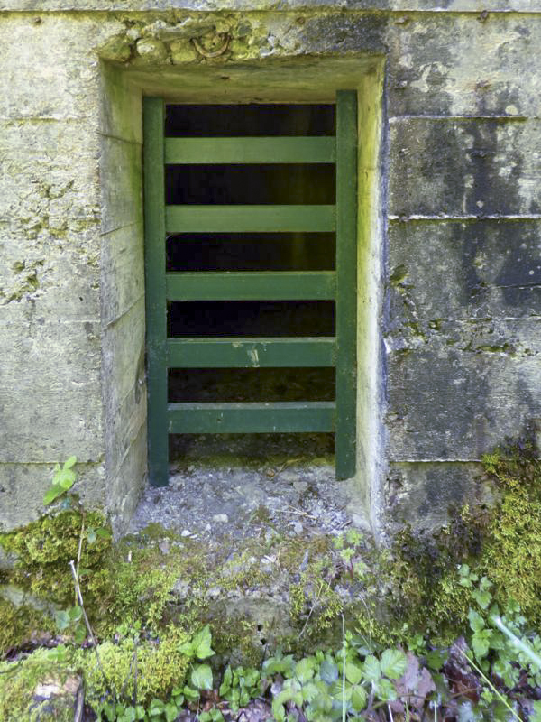 Ligne Maginot - A109 - ROUTE D'EPPE-SAUVAGE - (Casemate d'infanterie - double) - L'entrée du personnel