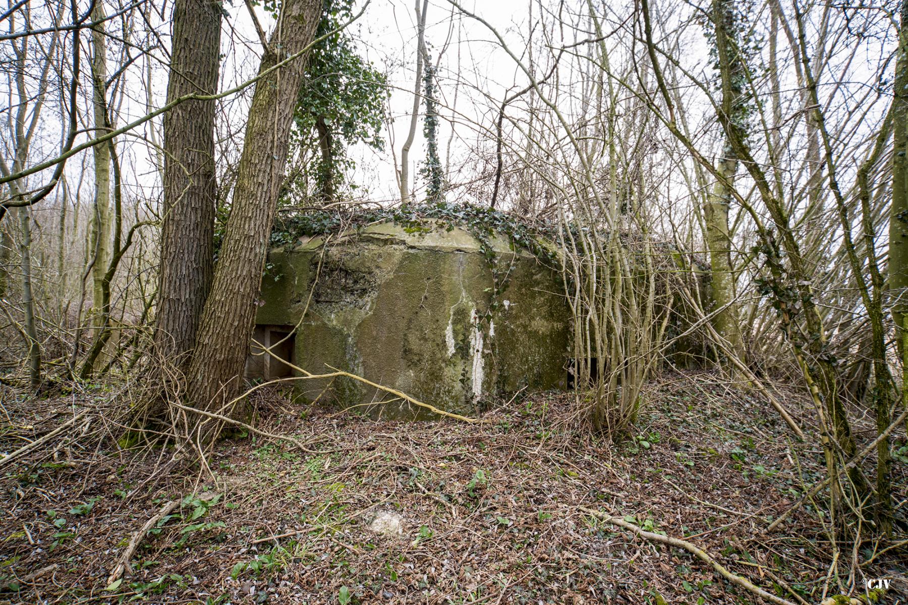 Ligne Maginot - B636 - BOIS D'ELESMES - (Blockhaus pour canon) - Vu frontale