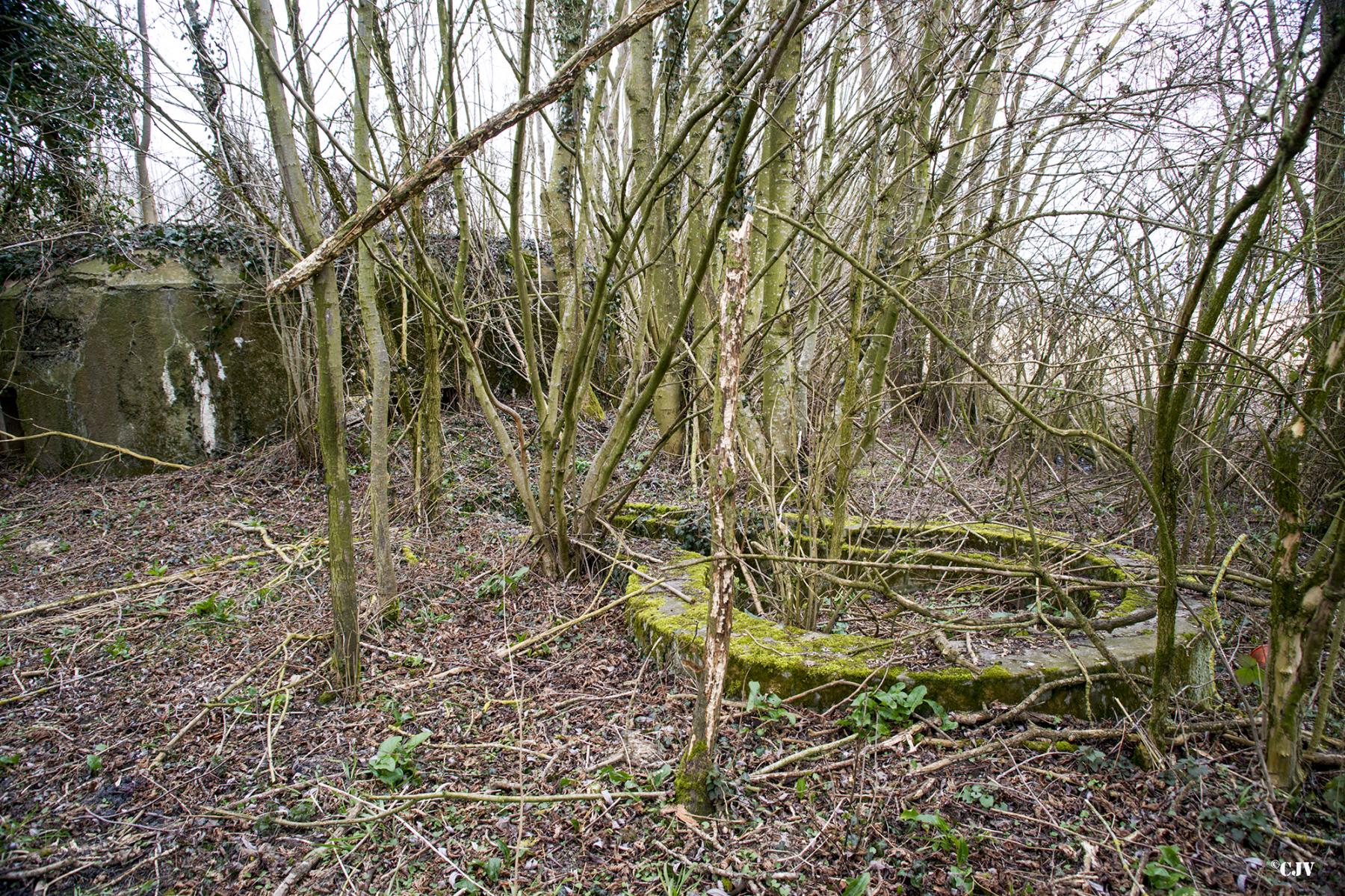 Ligne Maginot - B636 - BOIS D'ELESMES - (Blockhaus pour canon) - La base du tourelle démontable devant le bloc