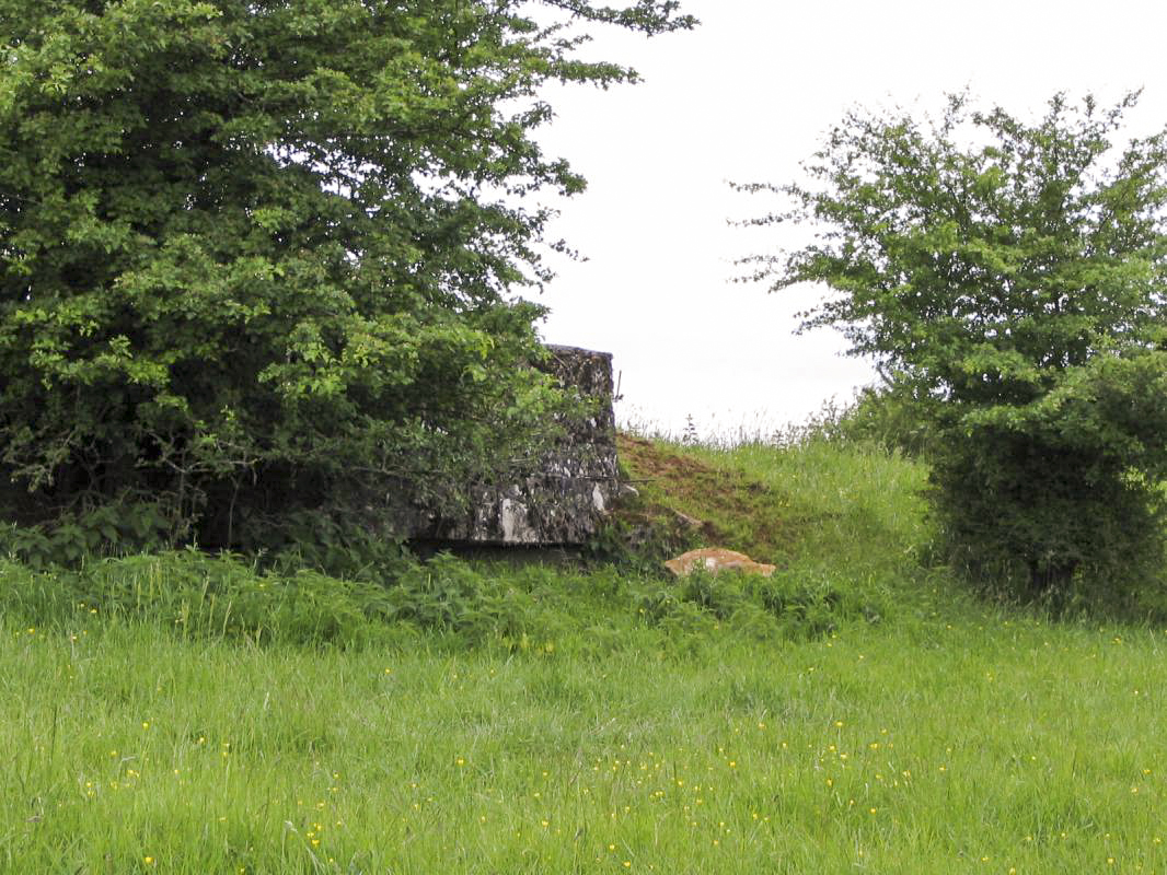 Ligne Maginot - HAUT D'HARAUCHAMPS - (Observatoire d'infanterie) - 