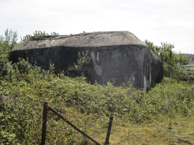 Ligne Maginot - B682 - FAUQUEMONT SUD - (Blockhaus pour canon) - Vue prise depuis la D 936 - Route Nationale.