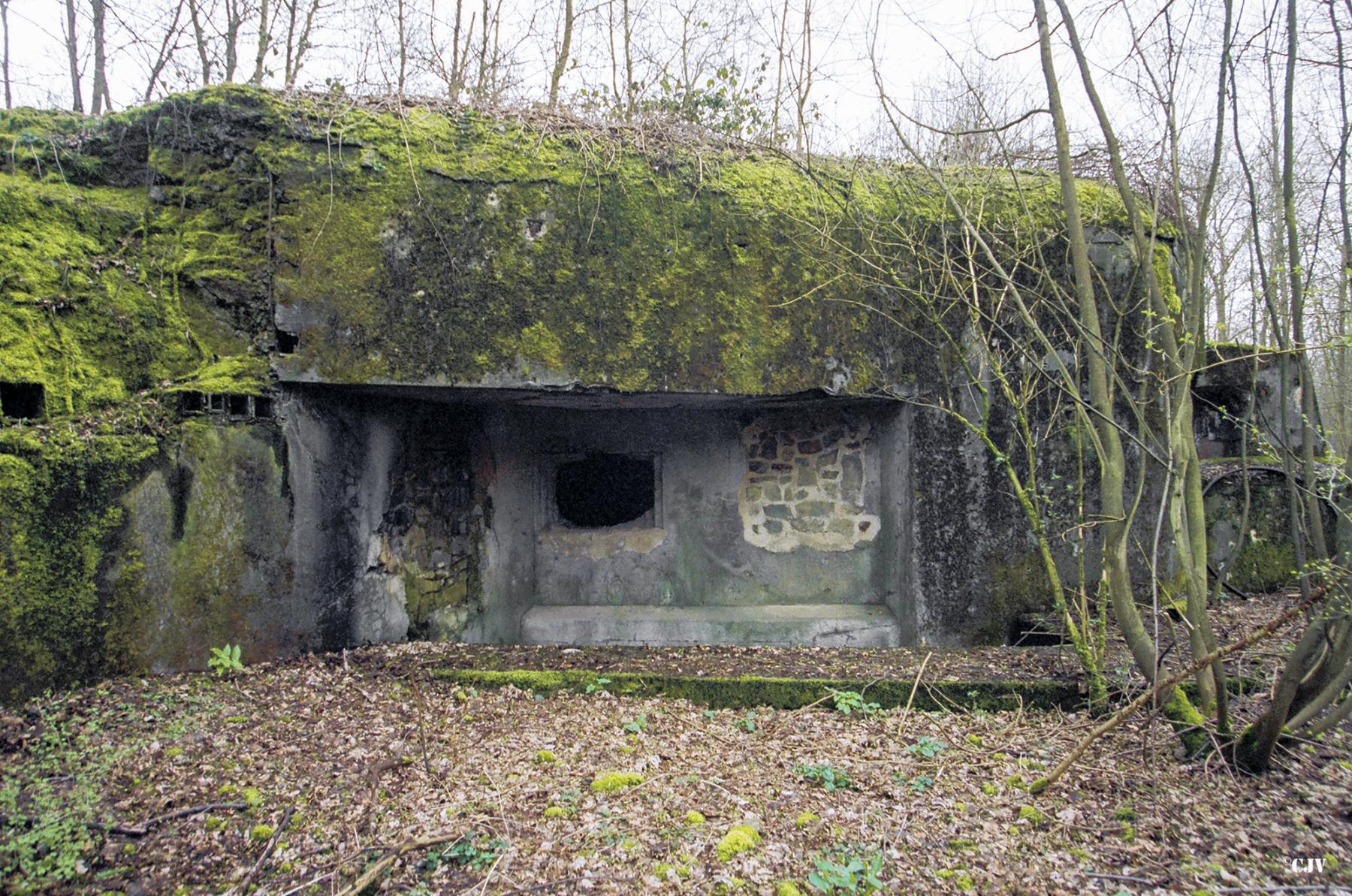 Ligne Maginot - C38 - MARPENT SUD - (Casemate d'infanterie) - 