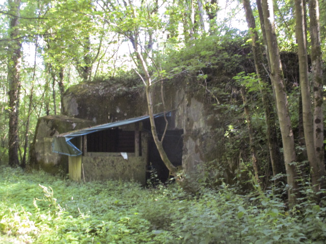 Ligne Maginot - C38 - MARPENT SUD - (Casemate d'infanterie) - 