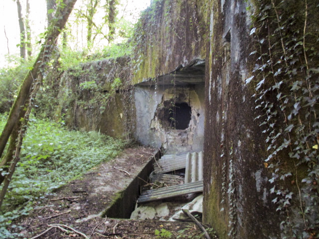 Ligne Maginot - C38 - MARPENT SUD - (Casemate d'infanterie) - 