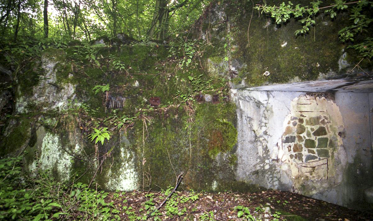 Ligne Maginot - C38 - MARPENT SUD - (Casemate d'infanterie) - 