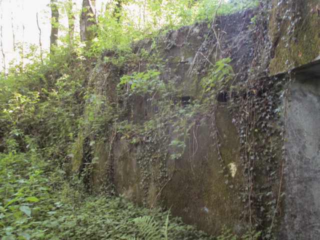 Ligne Maginot - C38 - MARPENT SUD - (Casemate d'infanterie) - 